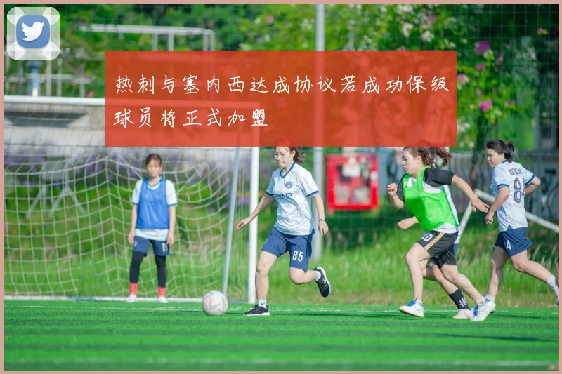 热刺与塞内西达成协议若成功保级球员将正式加盟