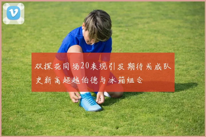 双探花同场20表现引发期待或成队史新高超越伯德与冰箱组合